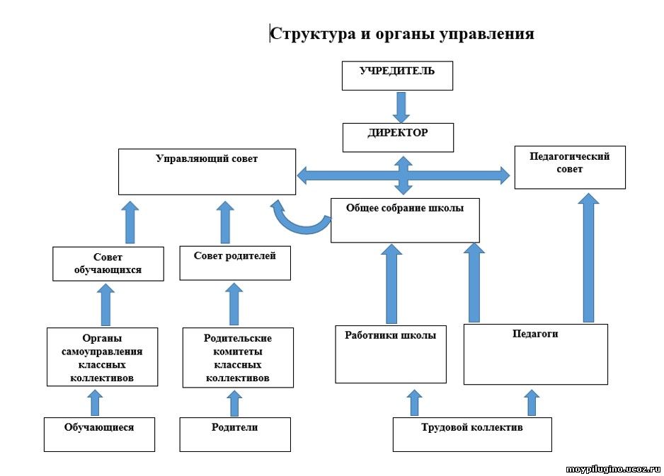 Структура школы